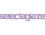 Logo for Selectaglaze Ltd