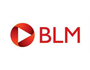 Logo for BLM