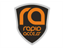 Logo for Rapid Access Ltd